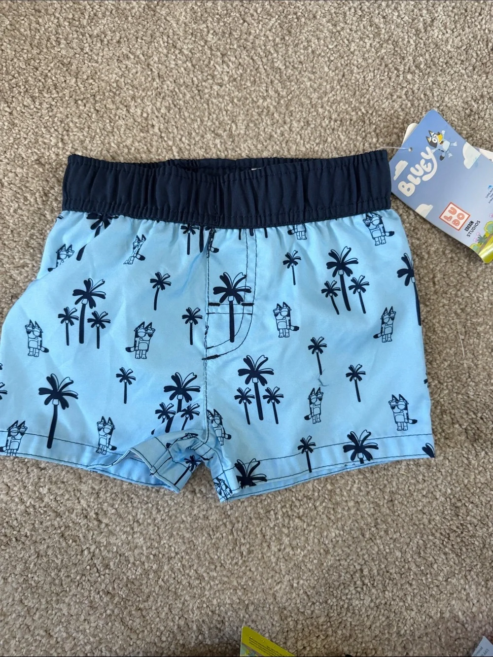NWT infant boys Bluey Swim Shorts with lining size 12 month